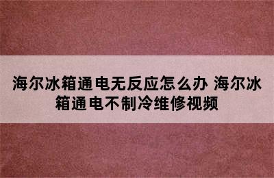 海尔冰箱通电无反应怎么办 海尔冰箱通电不制冷维修视频